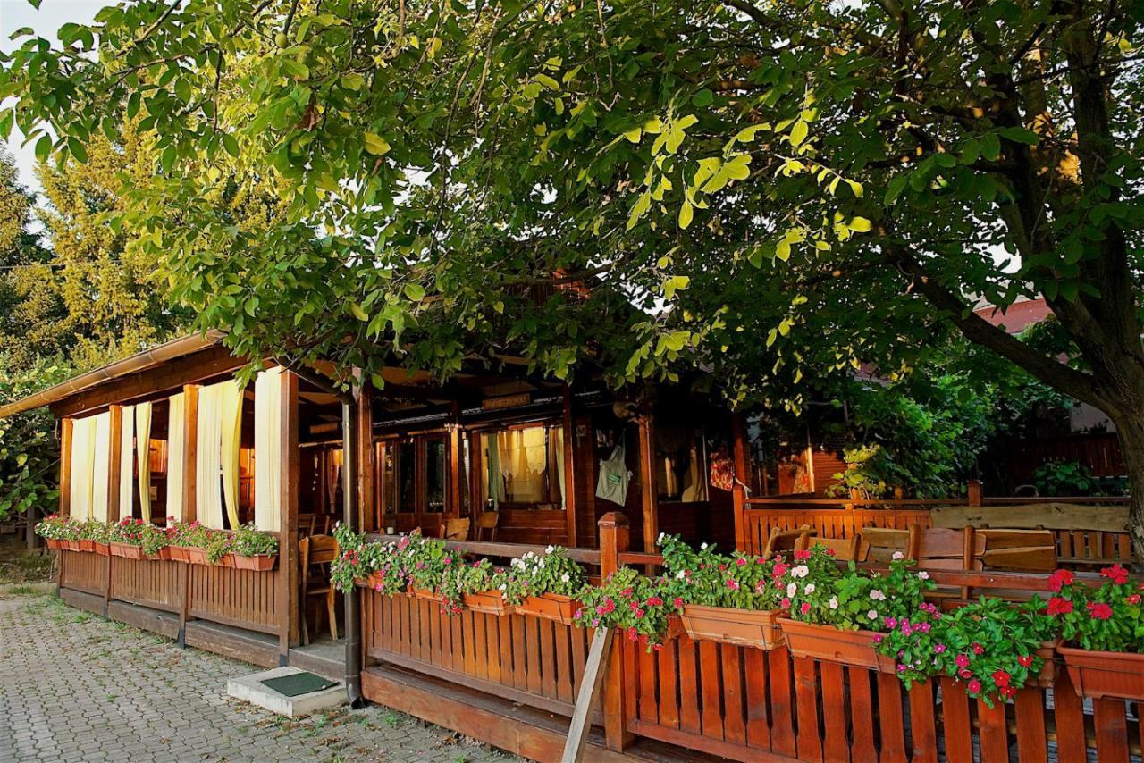 Vila Chess Beograd Ngoại thất bức ảnh